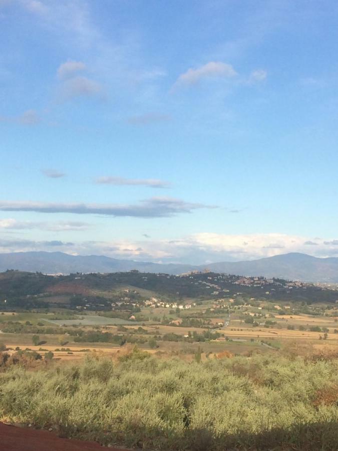 Appartamento Mansarda degli Ulivi Rigomagno Esterno foto
