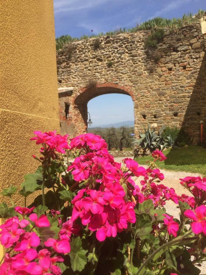 Appartamento Mansarda degli Ulivi Rigomagno Esterno foto