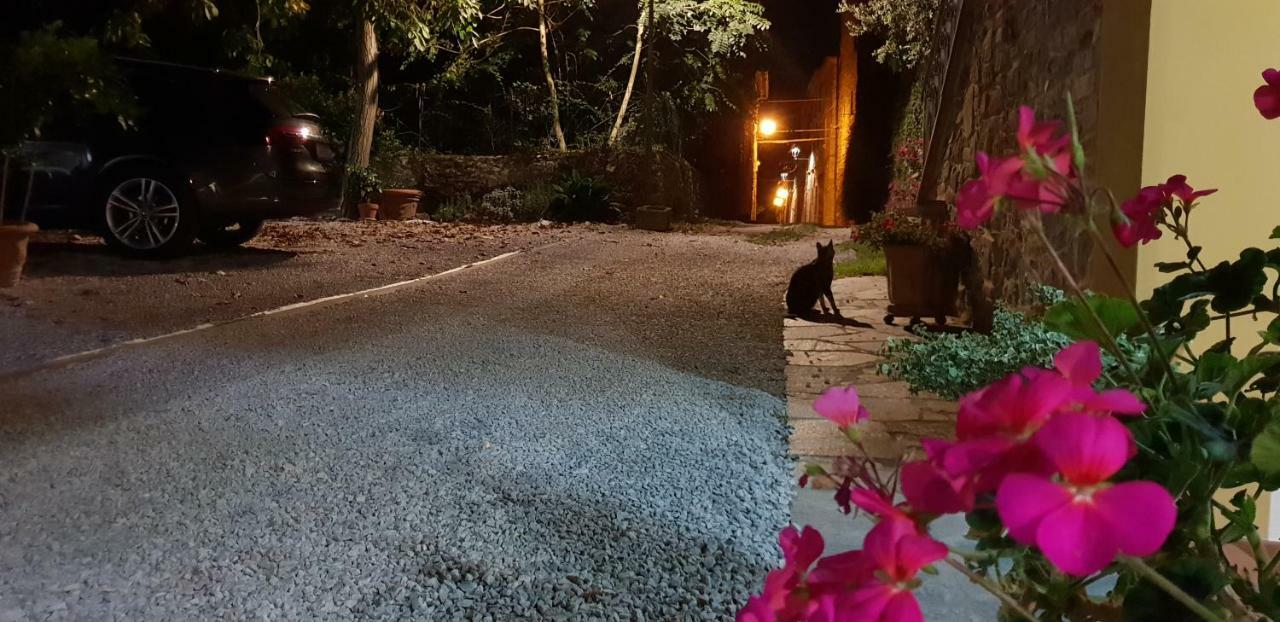 Appartamento Mansarda degli Ulivi Rigomagno Esterno foto
